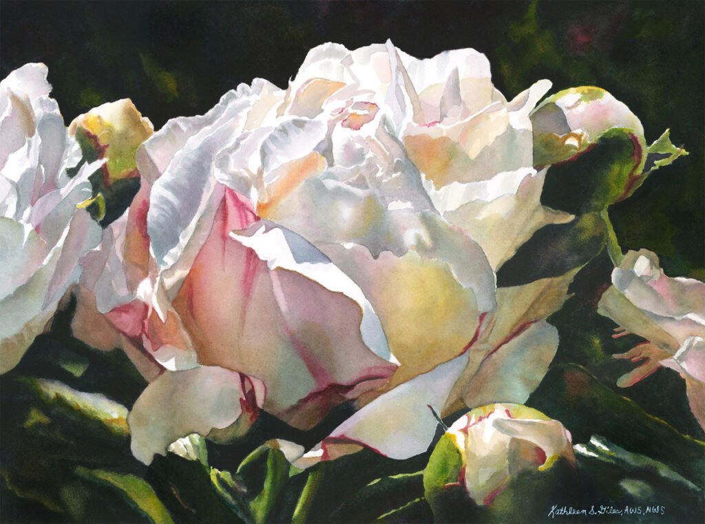 Garden Peony by Kathleen Giles