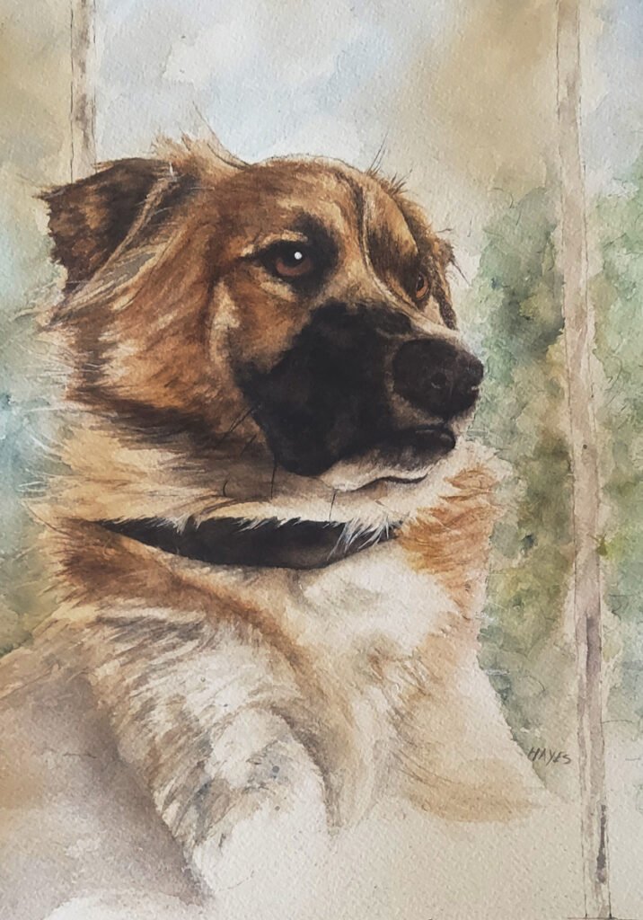 On Guard by Barbara Hayes